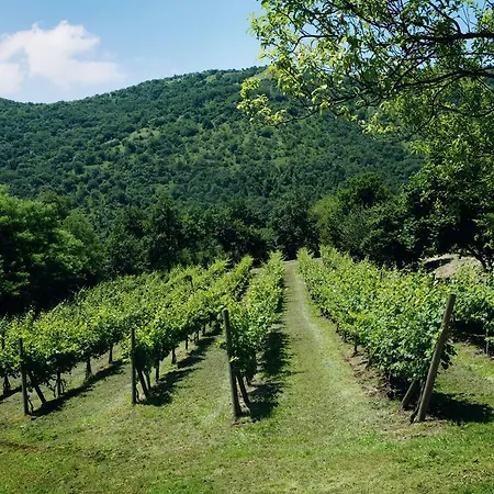 Le Favole Casa rural Sacile