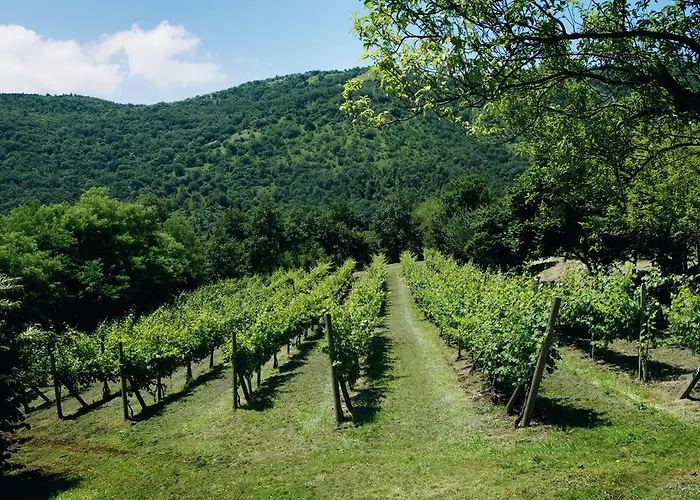 Le Favole Εξοχικό σπίτι Σατσίλε